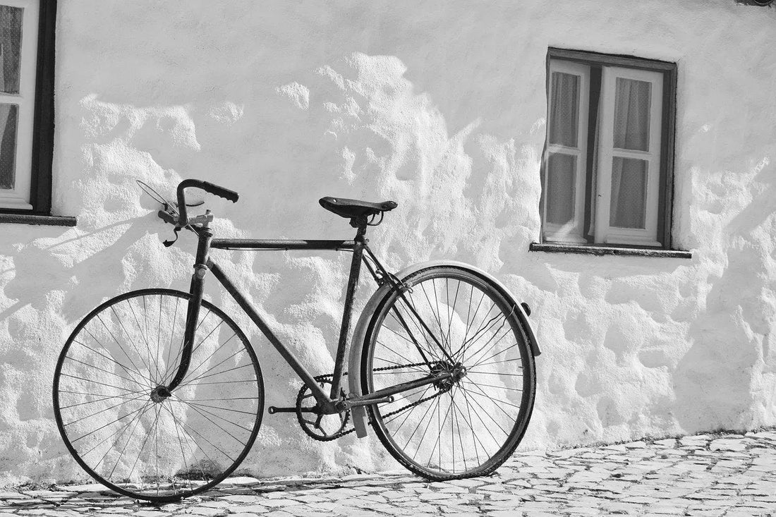 L'évolution et la modernité de la photographie noir et blanc